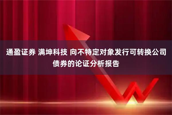 通盈证券 满坤科技 向不特定对象发行可转换公司债券的论证分析报告