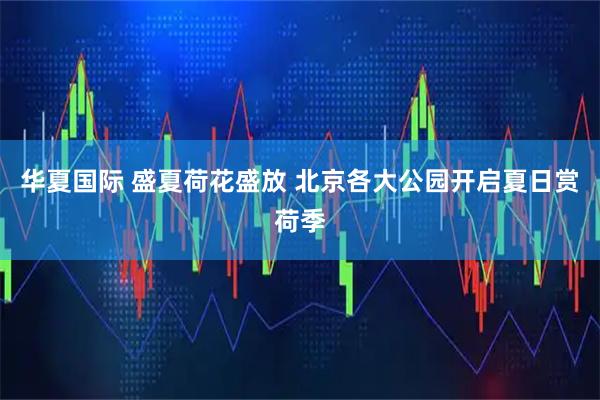 华夏国际 盛夏荷花盛放 北京各大公园开启夏日赏荷季